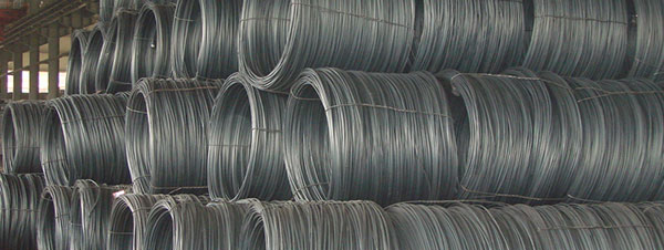 Steel wire dies